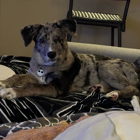 Meet your Poshers, Rob and Aly! - Picture 6 of 7